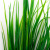 Трава искусственная -2, шт (осока 41см/8 см)				 - купить в Владивостоке. Цена: 104.57 руб.