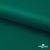 Ткань подкладочная Таффета, 19-5420, 53 г/м2, антистатик, шир. 150 см, вечнозеленый - купить в Владивостоке. Цена 57.16 руб.