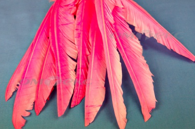 Декоративный Пучок из перьев, перо 25см/розовый - купить в Владивостоке. Цена: 14.40 руб.