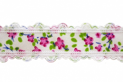 Тесьма декоративная 0385-6170, шир. 25 мм/уп. 22,8+/-1 м, цвет 02-розовый - купить в Владивостоке. Цена: 364.70 руб.