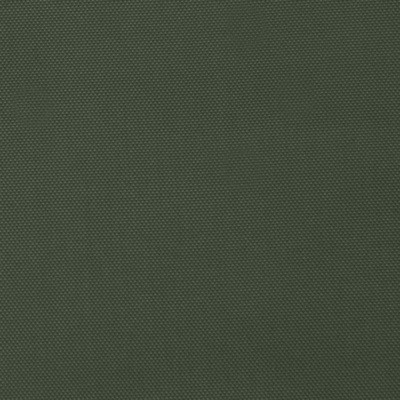 Ткань подкладочная "BEE" 19-0419, 54 гр/м2, шир.150см, цвет болотный - купить в Владивостоке. Цена 64.20 руб.