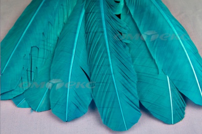 Декоративный Пучок из перьев, перо 24см/голубой - купить в Владивостоке. Цена: 12.19 руб.
