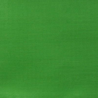 Ткань подкладочная Таффета 17-6153, 48 гр/м2, шир.150см, цвет трава - купить в Владивостоке. Цена 54.64 руб.