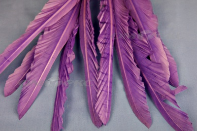 Декоративный Пучок из перьев, перо 25см/фиолетовый - купить в Владивостоке. Цена: 12.19 руб.