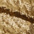 Сетка с пайетками №3, 188 гр/м2, шир.140см, цвет золотой - купить в Владивостоке. Цена 454.12 руб.