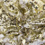 Трикотажное полотно, Сетка с пайетками, шир.130 см, #315, цв.-белый/золото - купить в Владивостоке. Цена 693.39 руб.