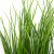Трава искусственная -4, шт  (осока 50 см/8 см  7 листов)				 - купить в Владивостоке. Цена: 130.73 руб.